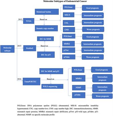 Features of the immunosuppressive tumor microenvironment in endometrial cancer based on molecular subtype